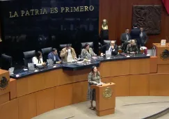 El Senado mandó a la Cámara de Diputados la reforma para su aprobación.