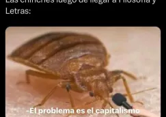 Diviértete con los mejores memes de la invasión de chinches en la UNAM 