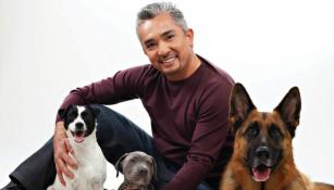 César Millán con varios de sus perros