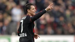 Chicharito festeja un gol con el Bayer Leverkusen