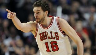 Gasol, en un partido de los Bulls