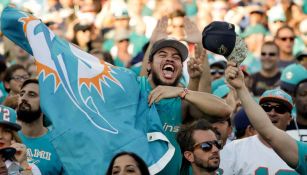 Aficionados de los Miami Dolphins muestran su pasión