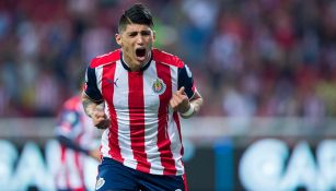 Alan Pulido festeja un gol contra Puebla 