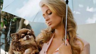 Paris Hilton junto a uno de sus perros