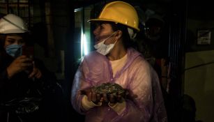 Una rescatista sostiene a la tortuga rescatada en la calle de Amsterdam