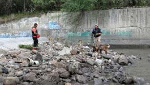 Perro rescatista buscando a la mujer perdida.