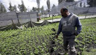 Un productor muestra una grieta que se abrió en sus cultivos tras el sismo