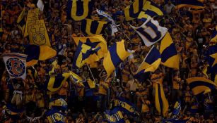 Libres y Lokos durante un partido de Tigres