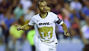 Marcelo Díaz celebra un gol con Pumas