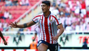 Alan Pulido celebra su anotación frente a Querétaro