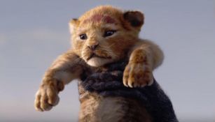 Así luce Simba en la versión Live Action del Rey León