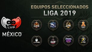 Estos son los ocho equipos que competirán en la División de Honor