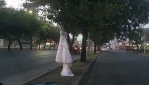 Vestido de novia colgado de un árbol en Monterrey 