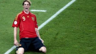 Fernando Torres festejando un gol con España 