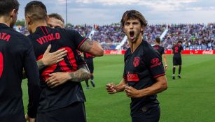 Joao Félix celebra gol del Atlético de Madrid 