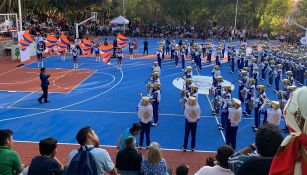 La actividad en el histórico parque 