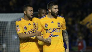 Tigres en el Estadio Universitario