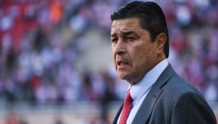 Luis Fernando Tena en partido de Chivas