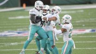 Dolphins en partido