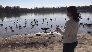 La fauna de los lagos también sufre por el deterioro