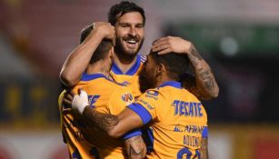 Tigres en festejo de gol 