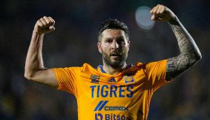 André-Pierre Gignac festejando gol con Tigres en partido de Liga MX