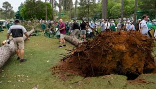 Árbol cae durante el Masters de Augusta de golf y genera caos entre jugadores y asistentes