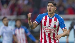 Alan Pulido fue campeón con las Chivas