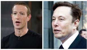 Mark Zuckerberg vs Elon Musk en una pelea en jaula puede hacerse realidad 