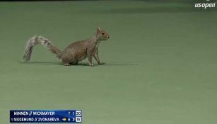 ¡Inaudito! Una ardilla 'invadió' cancha en el US Open y provoca repetición de punto