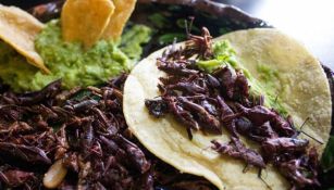 Los chapulines, alimento que puede ayudar a la desnutrición infantil