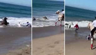 Los caballos lograron salir de las olas del mar 