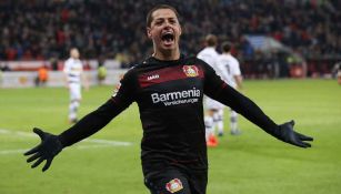 ¡Sigue siendo ídolo! En Leverkusen siguen recordando con cariño a Javier 'Chicharito' Hernández