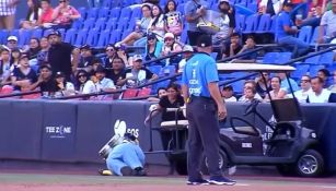 ¡Momentos sublimes! Minion sale volando tras chocar en carrito de golf en el estadio de Sultanes