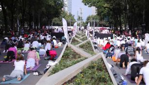 Más de mil personas asisten a clase de yoga en la Avenida Paseo de la Reforma 