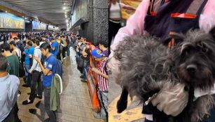 Metro CDMX: Perritos causan retrasos de horas en la Línea 3 