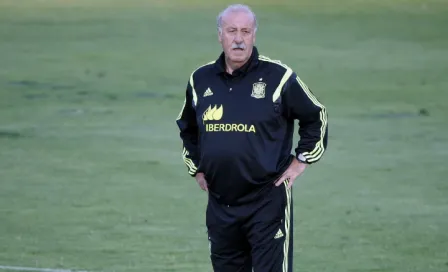 'Si De Gea no juega, será difícil que lo convoque': Del Bosque 