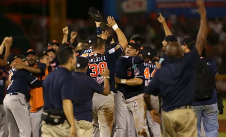 Tigres y Acereros, a la Serie Del Rey