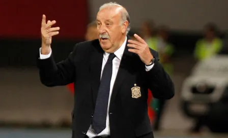 "Ganamos de casualidad": Vicente del Bosque