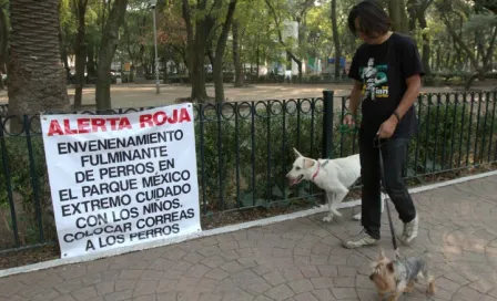 Muerte de perros en la Condesa alerta a autoridades