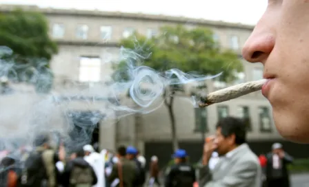 Aprueban uso lúdico de la marihuana... para cuatro personas