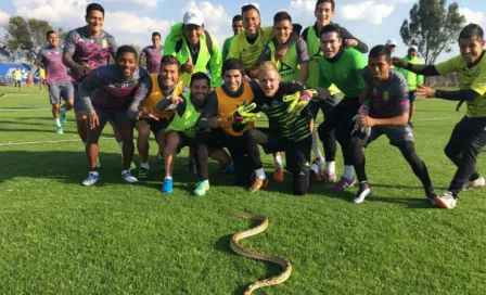 Serpiente invade entrenamiento de León