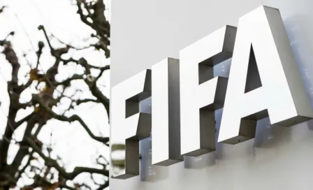 FIFA admite sobornos para Francia 1998 y Sudáfrica 2010