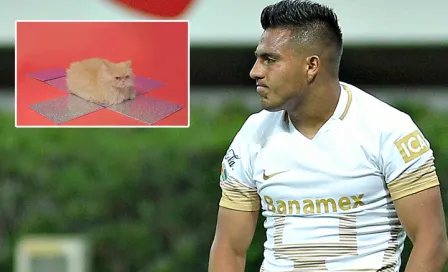 Jorge Vergara 'trollea' a Pumas por la derrota 