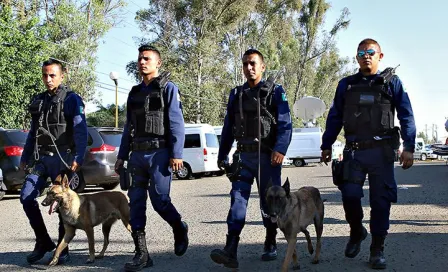 Fuerte operativo para llegada de afición tuza al Estadio León