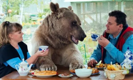 Matrimonio ruso adopta un oso y lo trata como a un hijo