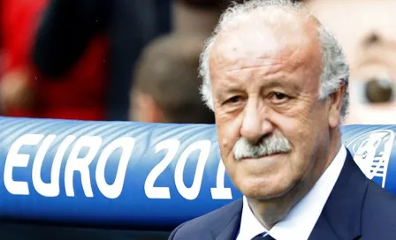 Vicente del Bosque confirma su salida de la selección española