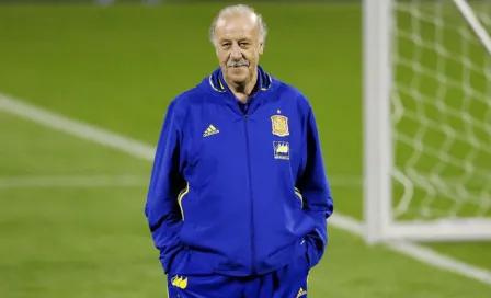 Del Bosque hizo a España el 'rey del mundo'