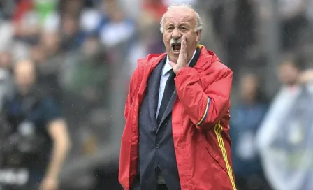 Vicente del Bosque deja de ser DT de España 