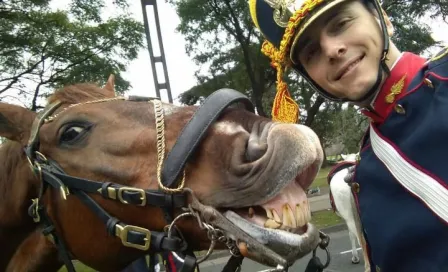 Caballo sonríe mientras soldado toma una selfie